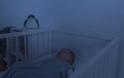 ZAZU - Sunset Projector - Shally Green -Kinder Welt Verkauf 0794712495468