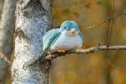 ZAZU - Sunset Projector - Shally Green -Kinder Welt Verkauf 0794712495468 4