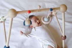 Plan Toys PlanToys Holzspielzeug Spiel-Turnhalle-Orchard -Kinder Welt Verkauf 5270 2