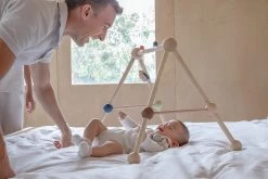 Plan Toys PlanToys Holzspielzeug Spiel-Turnhalle-Orchard -Kinder Welt Verkauf 5270 3