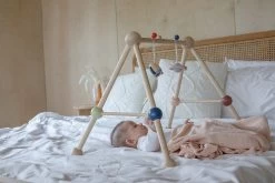 Plan Toys PlanToys Holzspielzeug Spiel-Turnhalle-Orchard -Kinder Welt Verkauf 5270 4