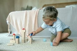 Plan Toys PlanToys Holzspielzeug Kreativ-Blöcke-Orchard 12 Plan Toys PlanToys Holzspielzeug Kreativ-Blöcke-Orchard -Kinder Welt Verkauf 5542