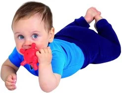 Edushape Gummy Beißring - 1 Stück 7 Edushape Gummy Beißring - 1 Stück -Kinder Welt Verkauf edushape gummy beissring 1 stueck 3