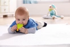 Haba Greifling Fisch 5 Haba Greifling Fisch -Kinder Welt Verkauf haba greifling fisch 2