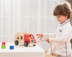 New Classic Toys Houten Vormentruck - 7-delig -Kinder Welt Verkauf new classic toys houten vormentruck 7 delig 1