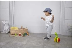 Plan Toys PlanToys Holzspielzeug Nachziehbare Schnecke -Kinder Welt Verkauf plantoys holzspielzeug nachziehbare schnecke 3