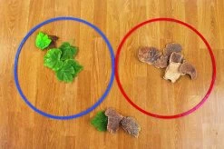 TickiT SORTIERUNGSRINGE SET -Kinder Welt Verkauf tickit sortierungsringe set 2