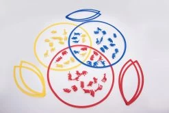 TickiT SORTIERUNGSRINGE SET -Kinder Welt Verkauf tickit sortierungsringe set 3