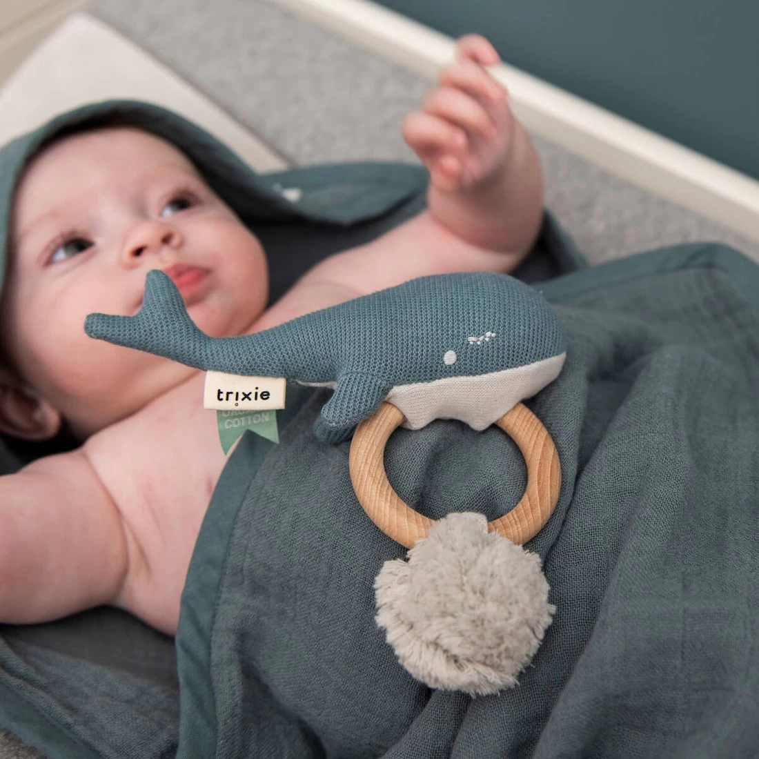 Trixie Beißring - Wal 5 Trixie Beißring - Wal – Bild 3