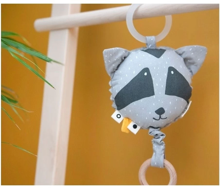 Trixie Musikspielzeug - Mr. Raccoon 5 Trixie Musikspielzeug - Mr. Raccoon – Bild 3